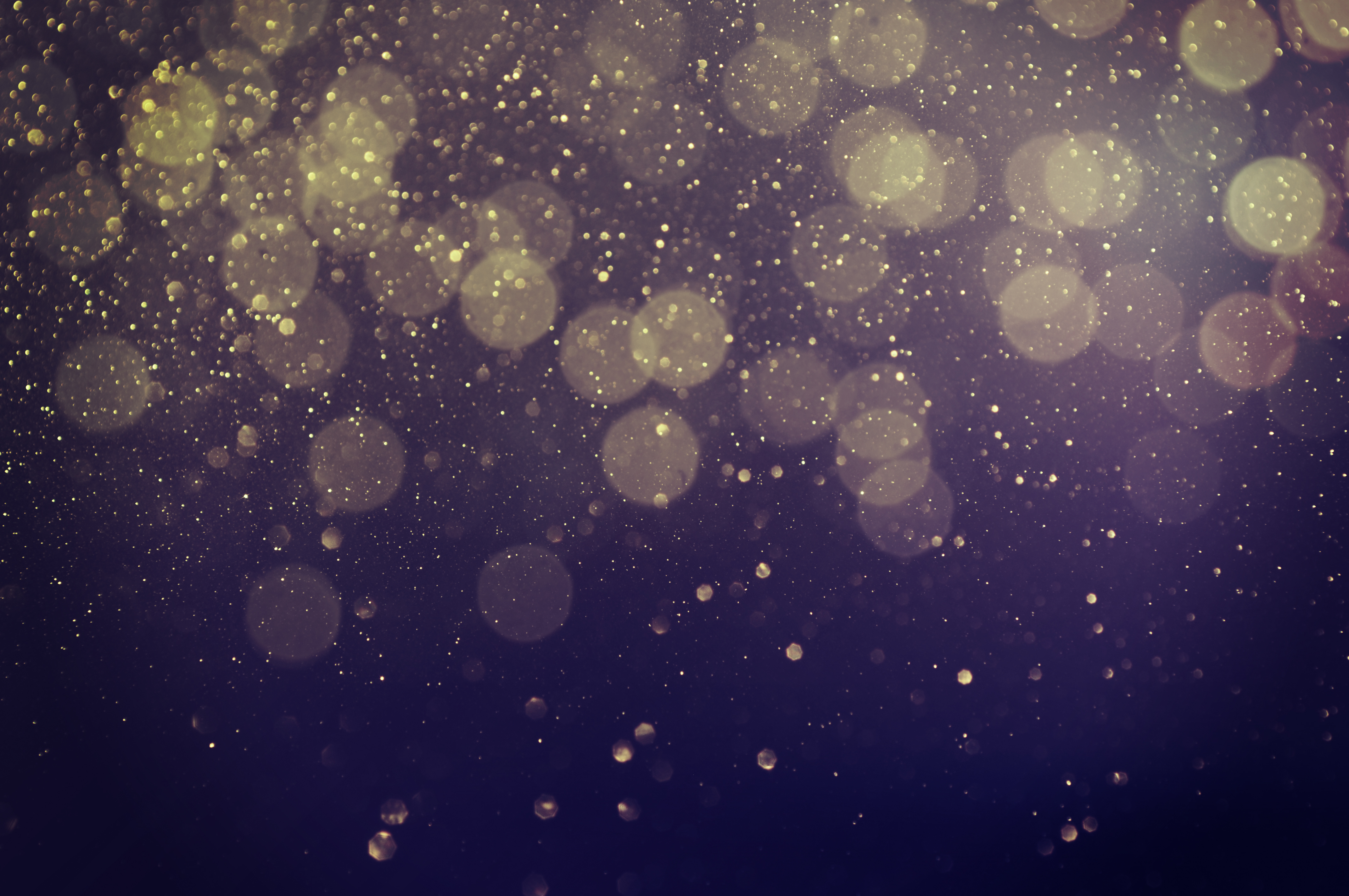 Reggae  On The River