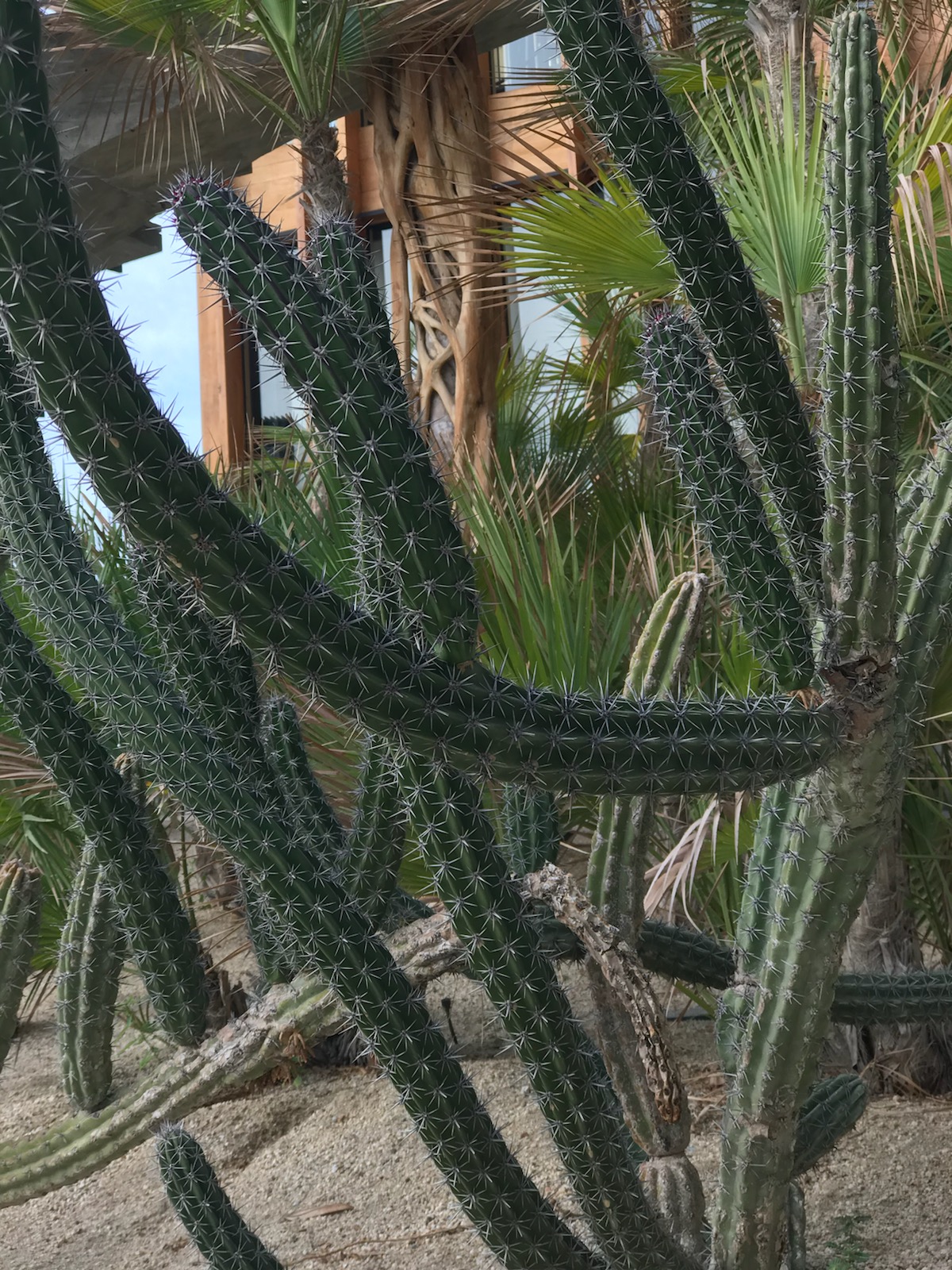 Reggae  On The River