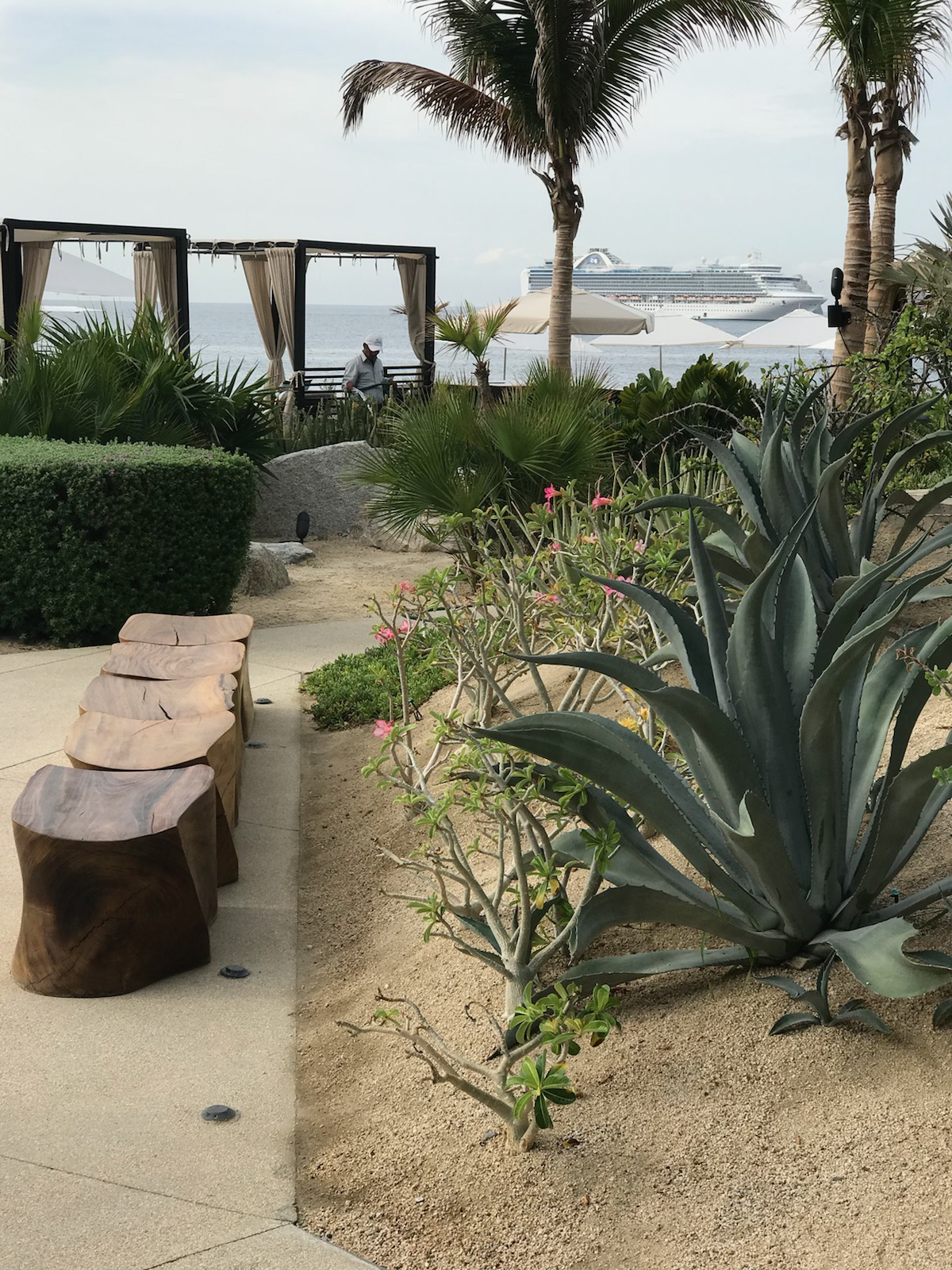 Reggae  On The River